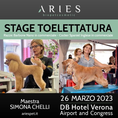 Stage di Toelettatura Dimostrativo su diverse razze - ariespet
