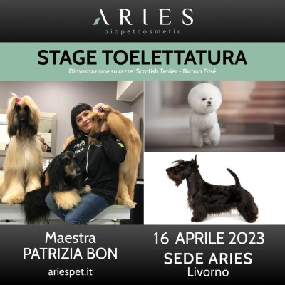 Stage di Toelettatura Dimostrativo Stripping Scottish Terrier e Commerciale pelo Riccio - ariespet