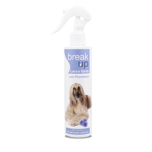 Break up Professional spray hairspray 250 ml