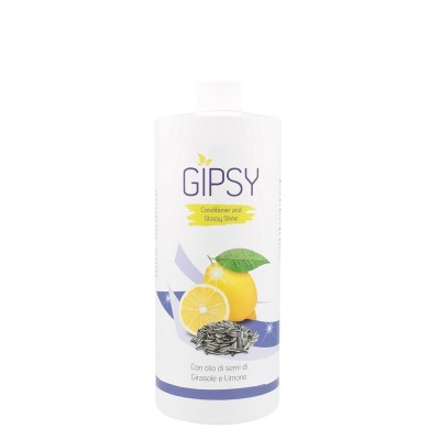 Gipsy Polishing spray 250 ML - 1 LT