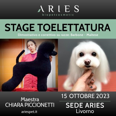 Stage Dimostrativo su razze Barbone - Maltese - ariespet