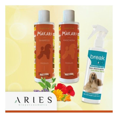 Kit M kari Color Red for Poodles