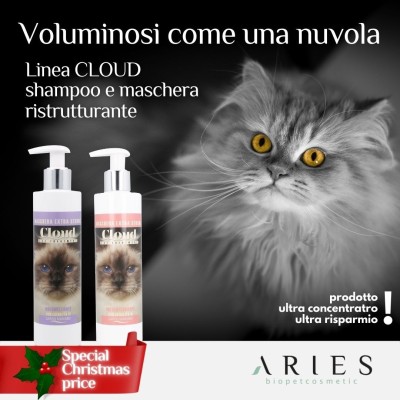 Kit Gatto - ariespet