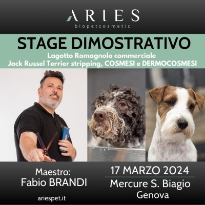 Stage Dimostrativo di toelettatura su Lagotto Romagnolo e Jack Russel Terrier Stripping - ariespet