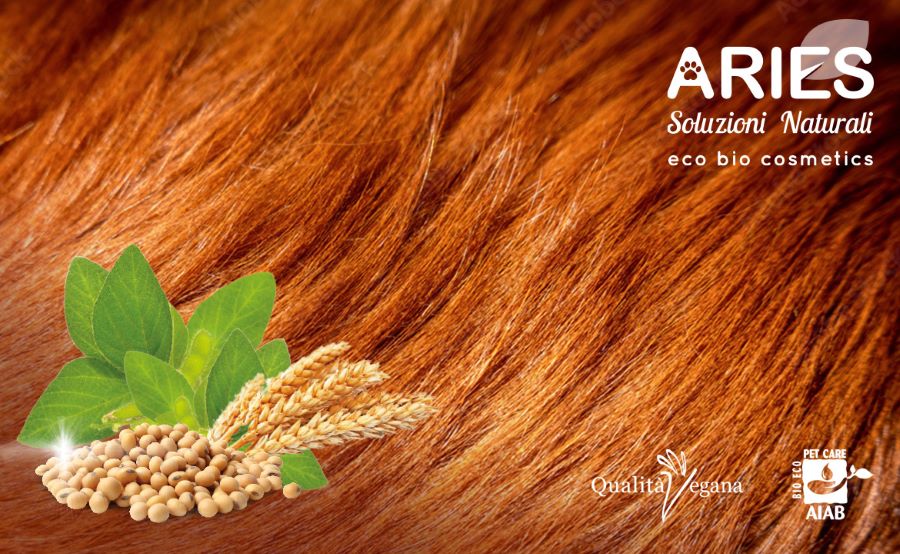 Plant keratin for the care of the dog's coat - Blog Aries