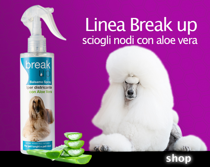 linea-break