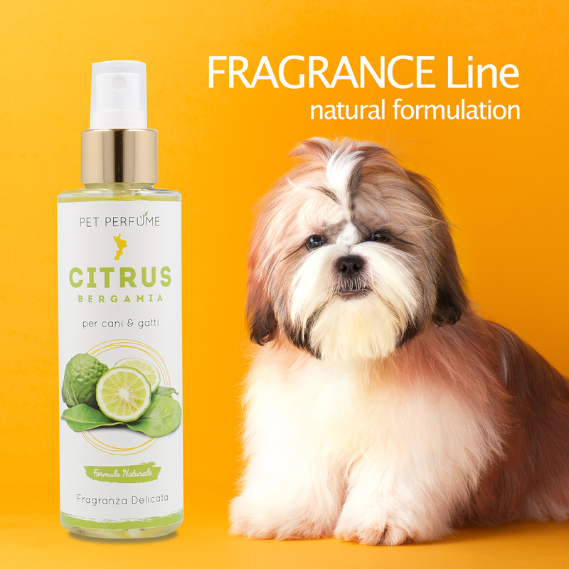 linea-profumi