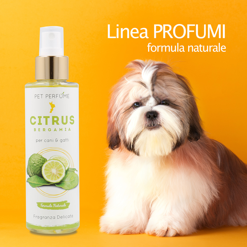 linea-profumi
