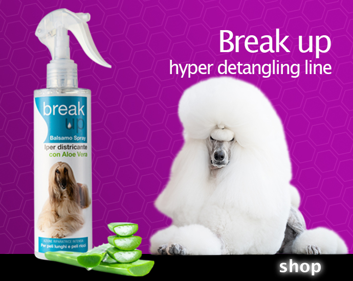 linea-break