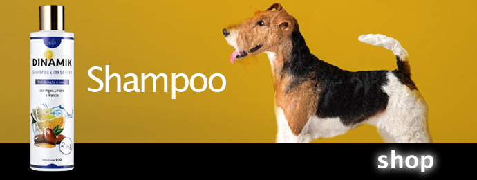linea-shampoo